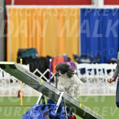 MAS-EX-STD-24-Inch_7956