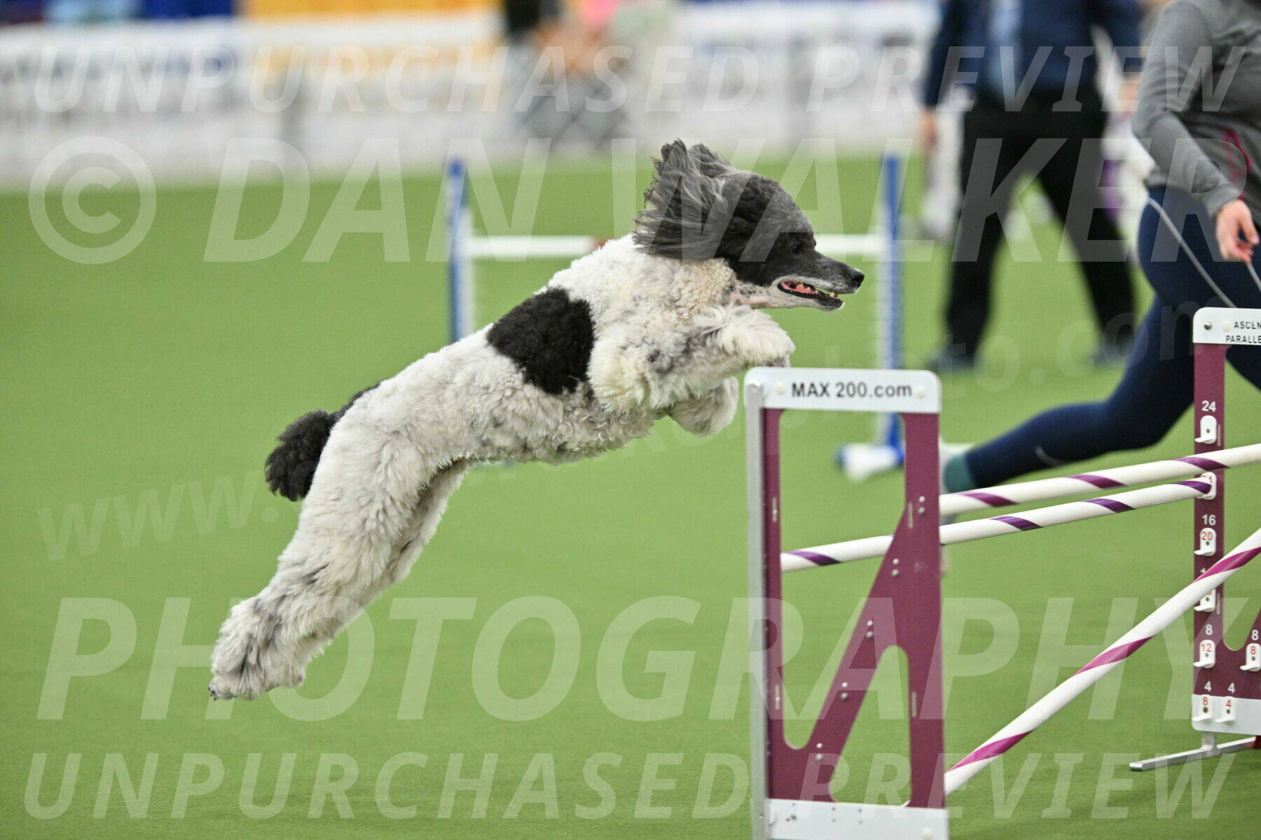 MAS-EX-STD-24-Inch_7977