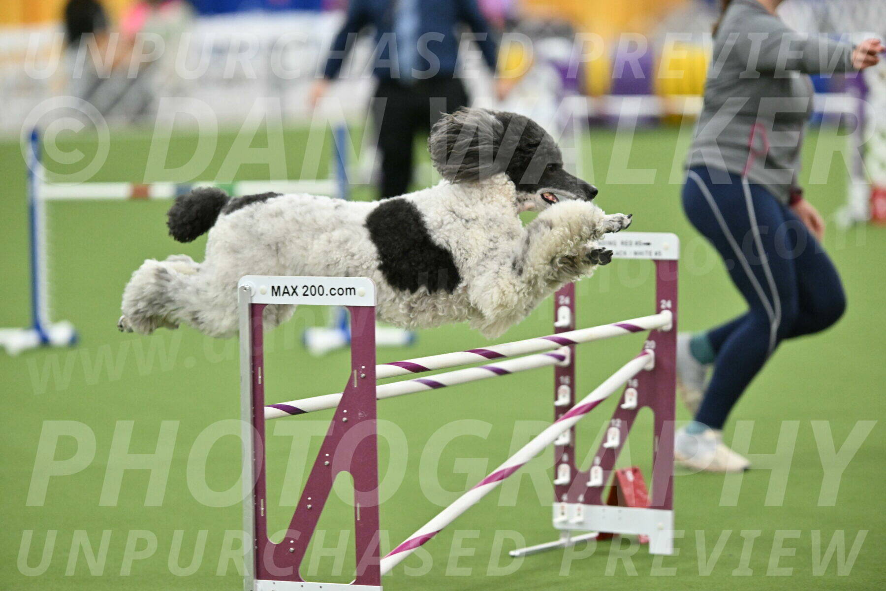 MAS-EX-STD-24-Inch_7980