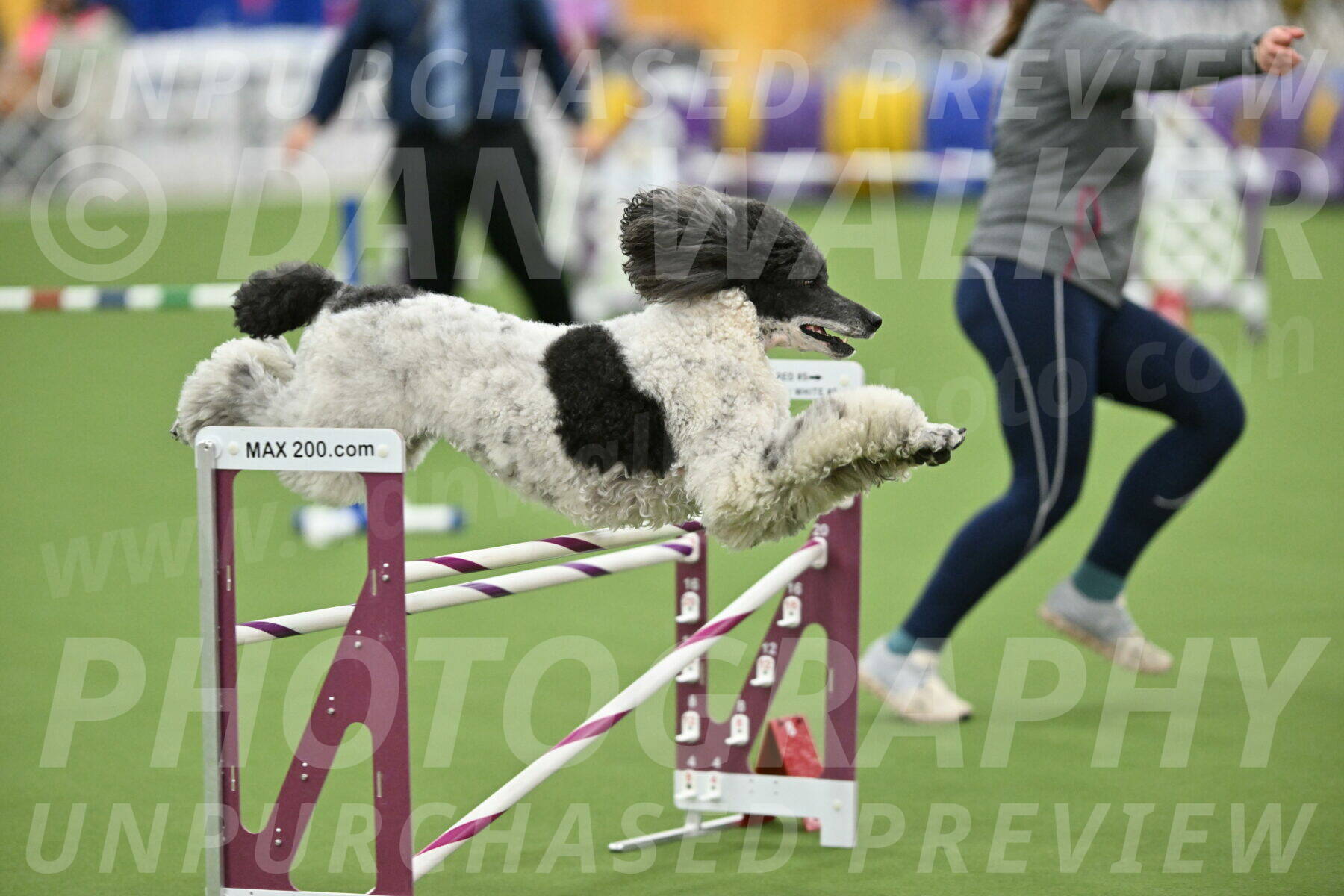 MAS-EX-STD-24-Inch_7981