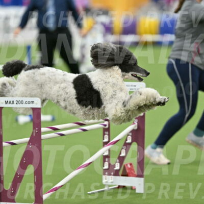 MAS-EX-STD-24-Inch_7981