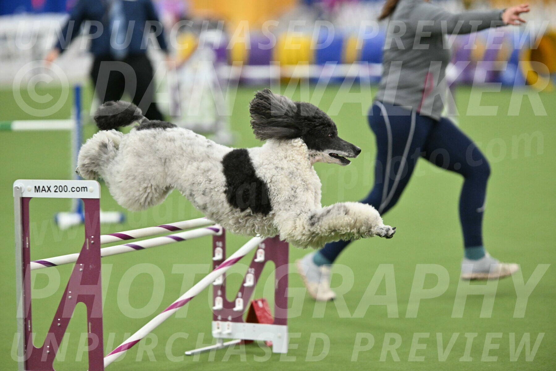 MAS-EX-STD-24-Inch_7982