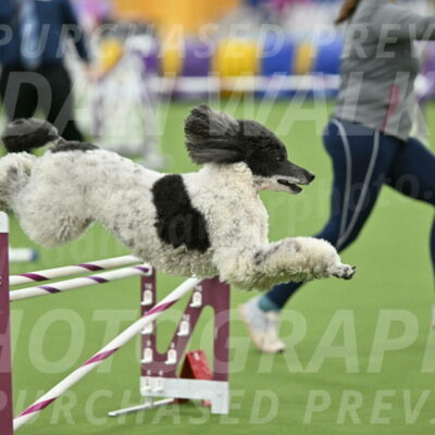 MAS-EX-STD-24-Inch_7982