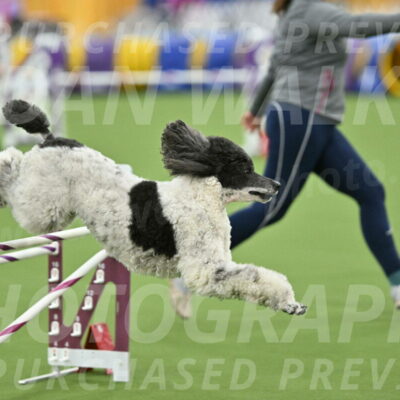 MAS-EX-STD-24-Inch_7983