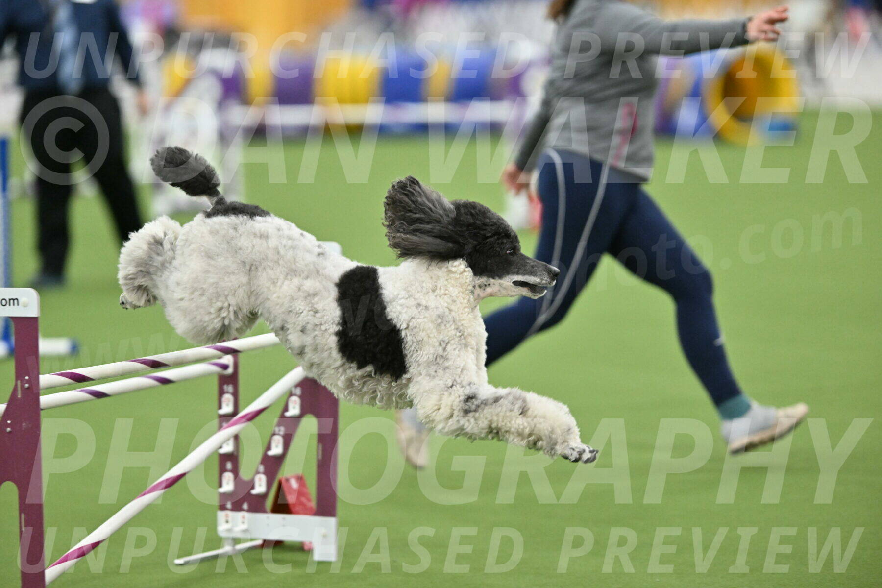 MAS-EX-STD-24-Inch_7983