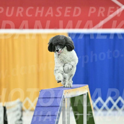 MAS-EX-STD-24-Inch_7987