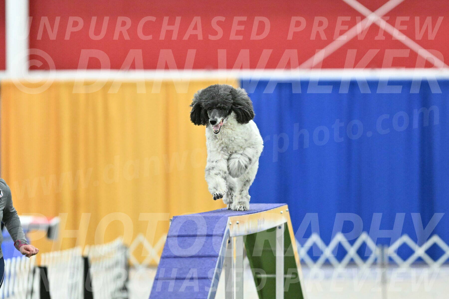 MAS-EX-STD-24-Inch_7987