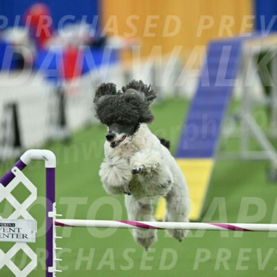 MAS-EX-STD-24-Inch_8003