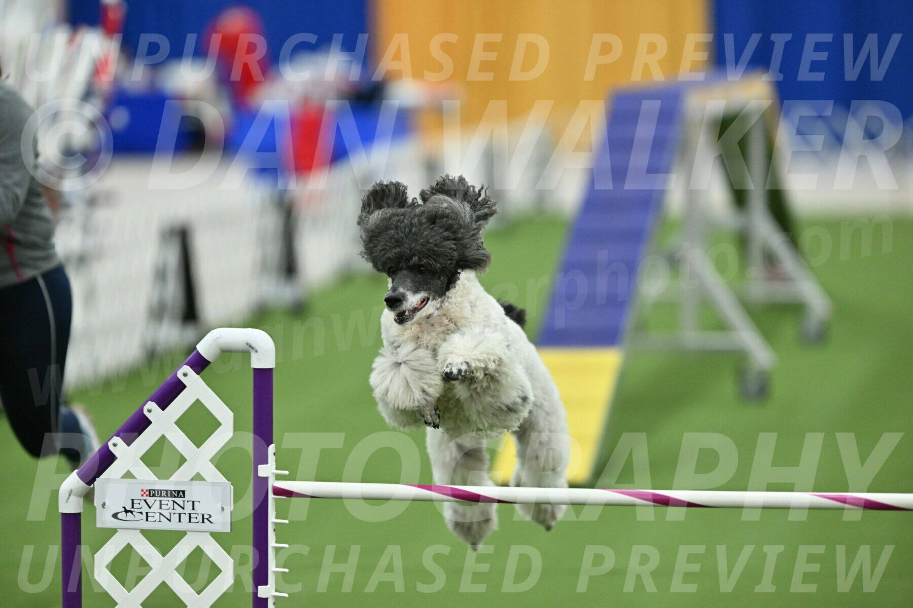 MAS-EX-STD-24-Inch_8003