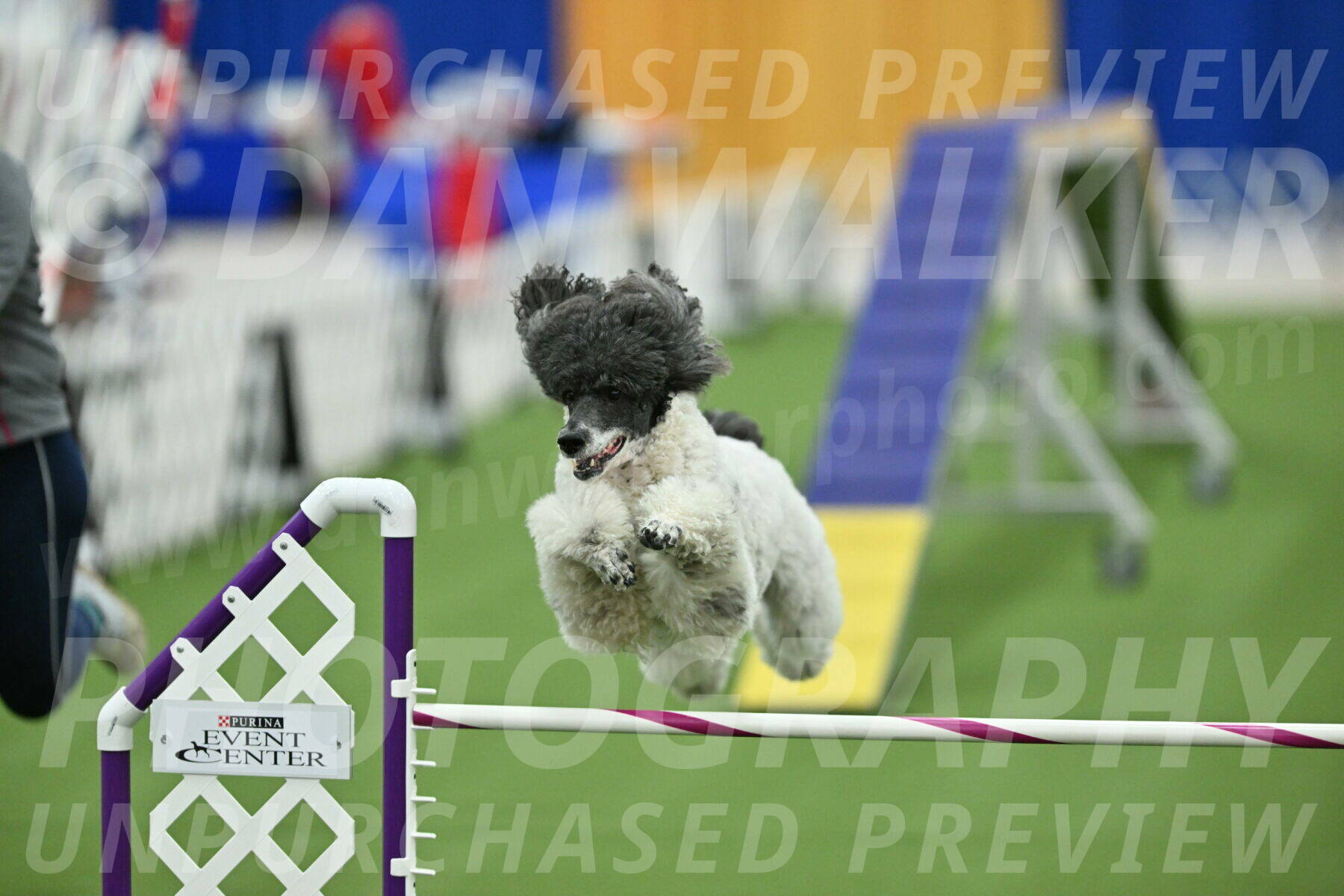 MAS-EX-STD-24-Inch_8004