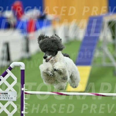 MAS-EX-STD-24-Inch_8004