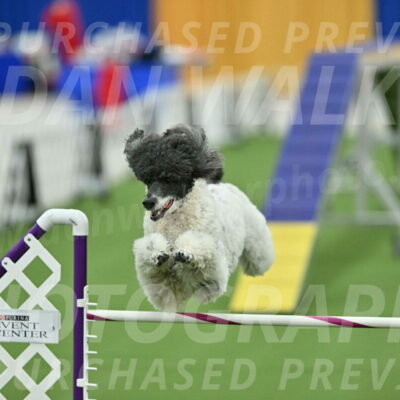 MAS-EX-STD-24-Inch_8005