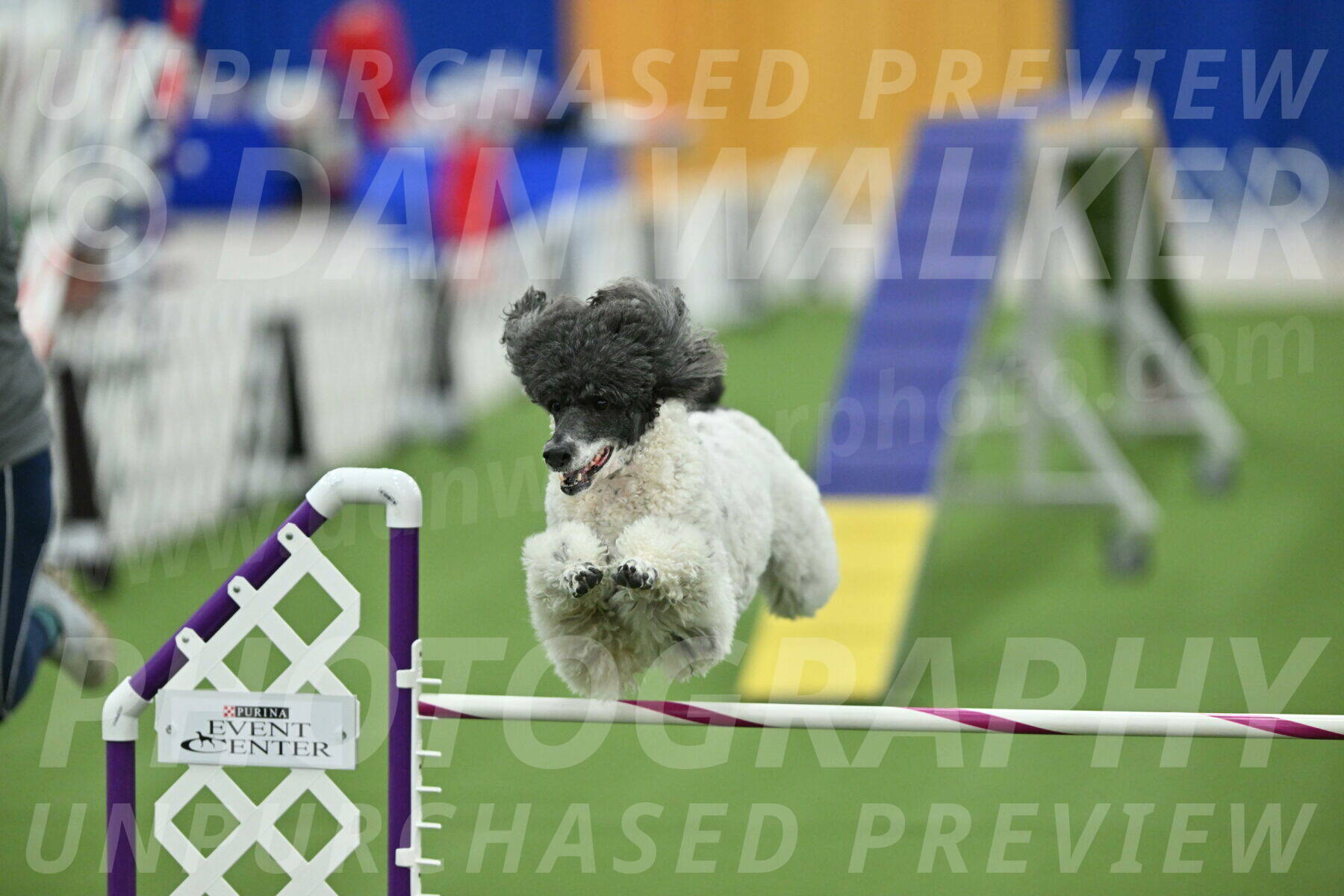 MAS-EX-STD-24-Inch_8005