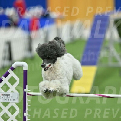 MAS-EX-STD-24-Inch_8006