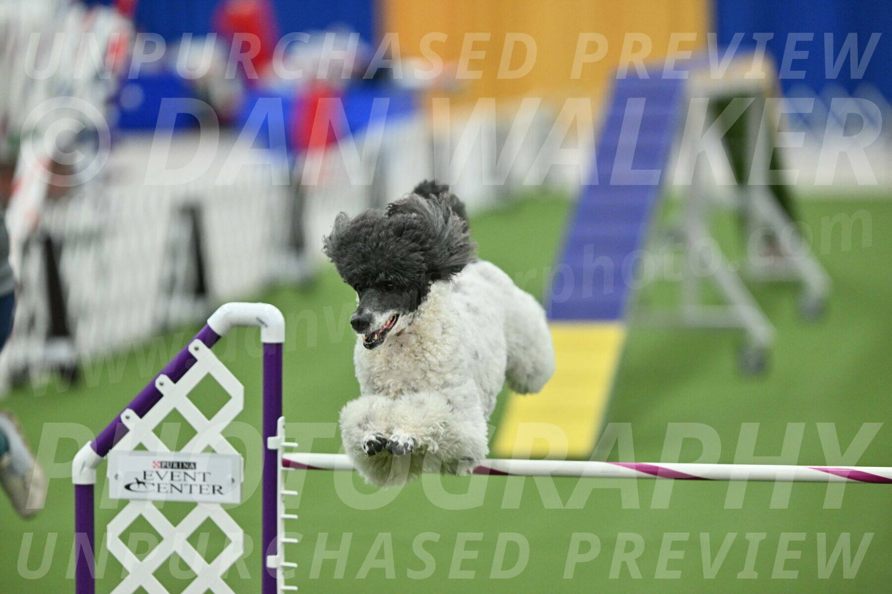 MAS-EX-STD-24-Inch_8006