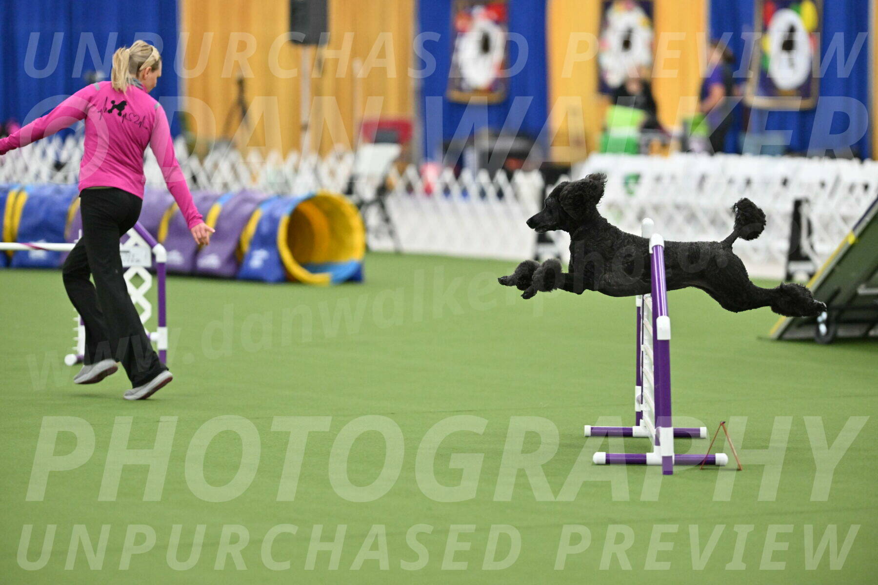 MAS-EX-STD-24-Inch_8013