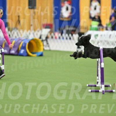 MAS-EX-STD-24-Inch_8013