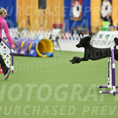 MAS-EX-STD-24-Inch_8014