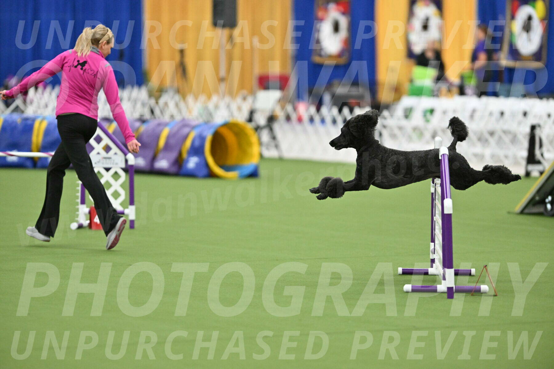 MAS-EX-STD-24-Inch_8014