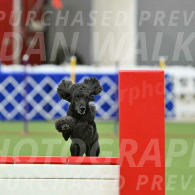 MAS-EX-STD-24-Inch_8018