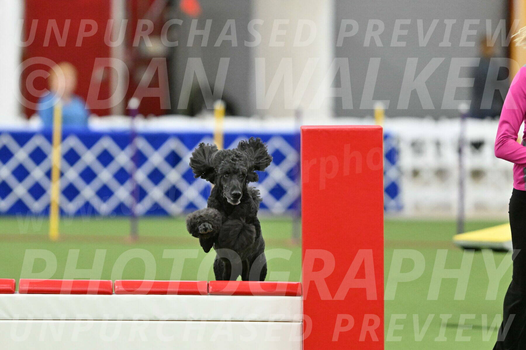 MAS-EX-STD-24-Inch_8018