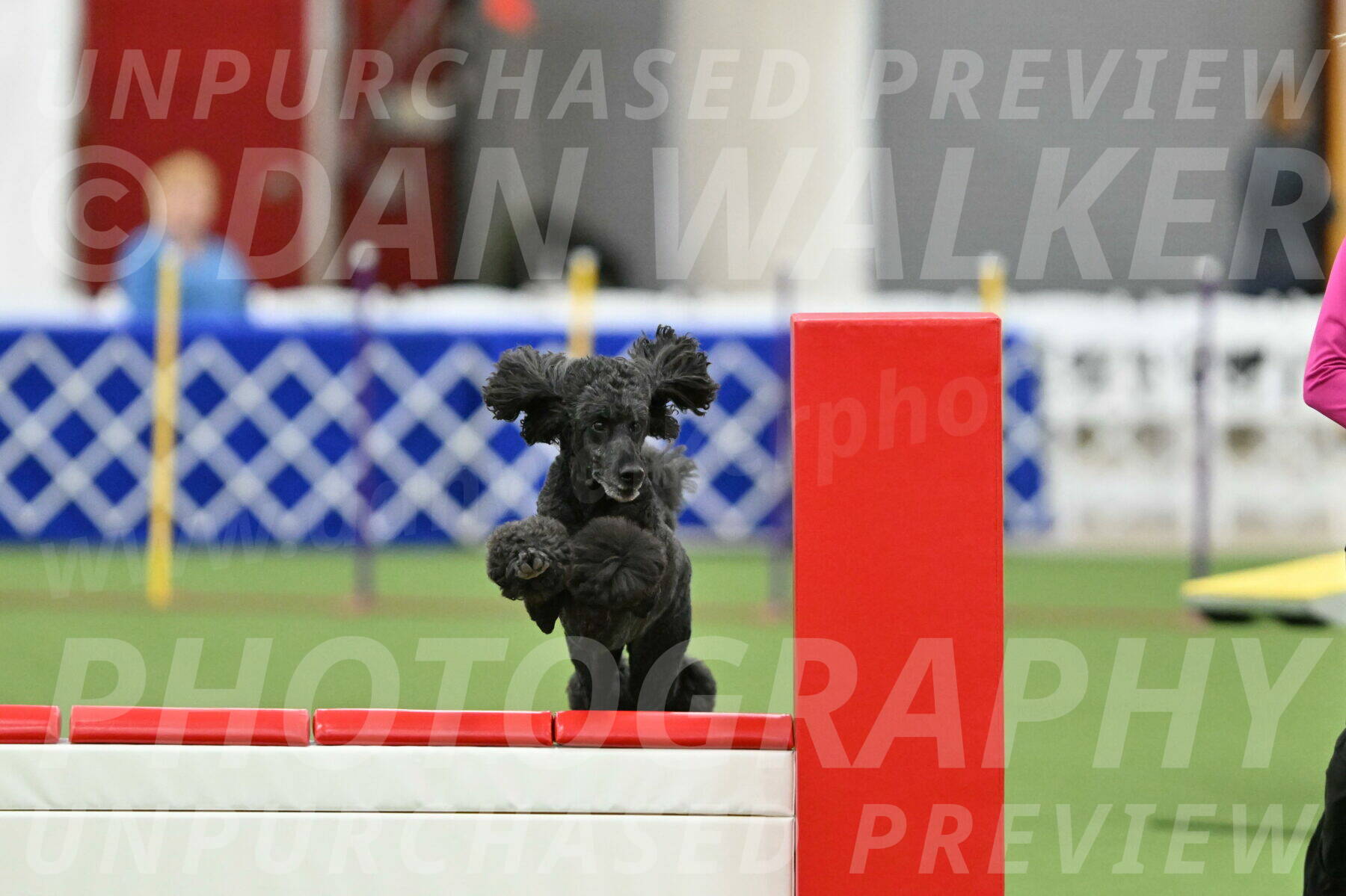 MAS-EX-STD-24-Inch_8019