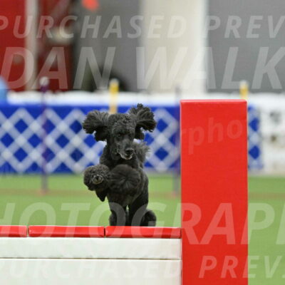 MAS-EX-STD-24-Inch_8019