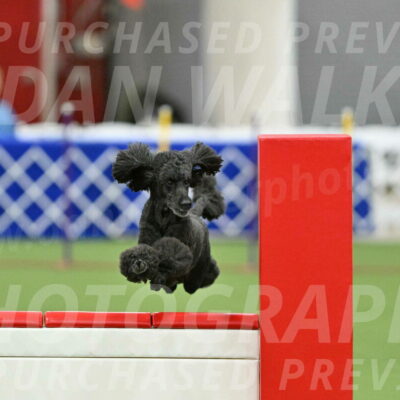 MAS-EX-STD-24-Inch_8020