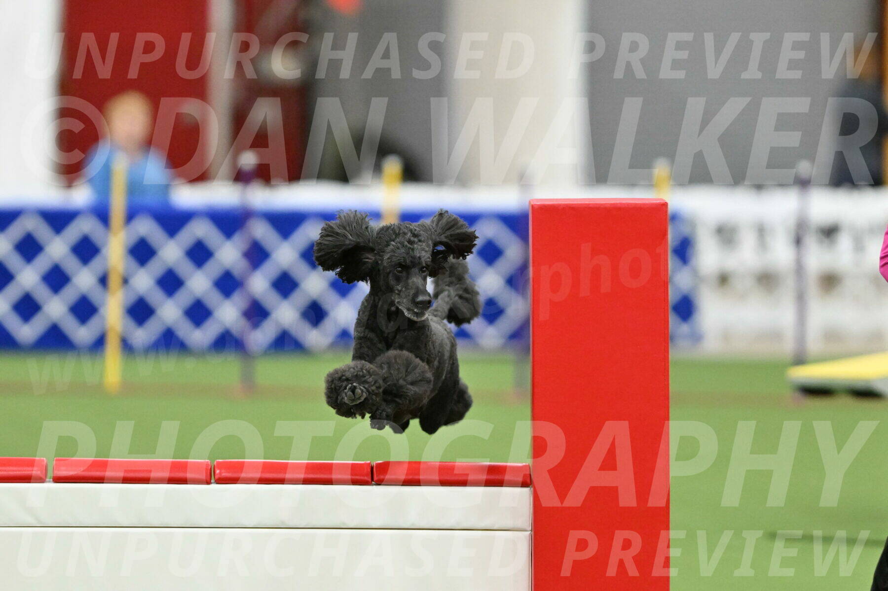 MAS-EX-STD-24-Inch_8020