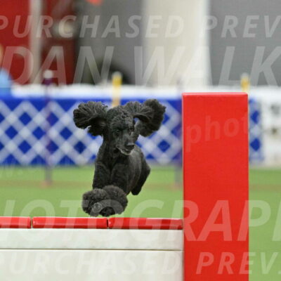 MAS-EX-STD-24-Inch_8021