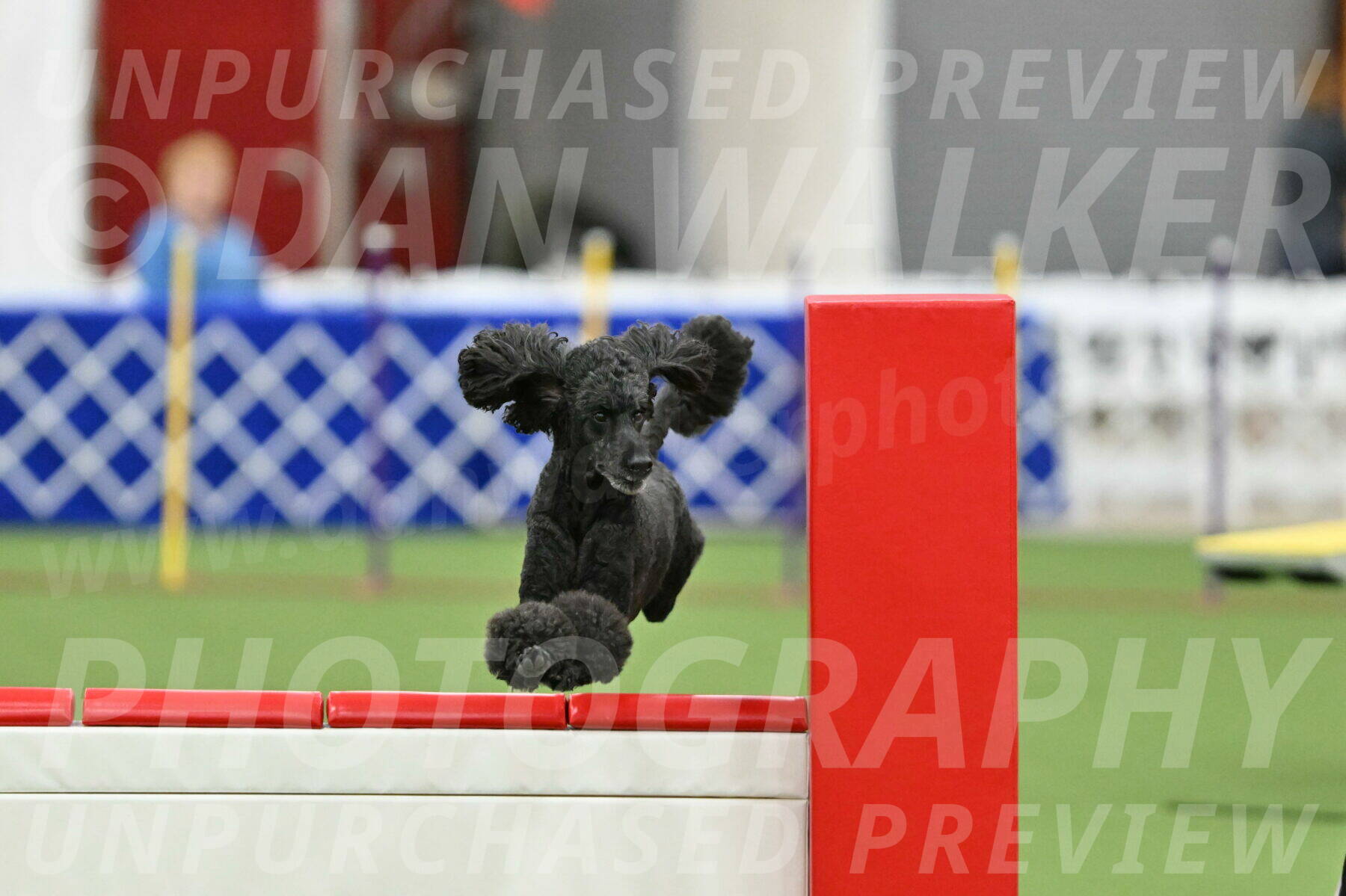 MAS-EX-STD-24-Inch_8021