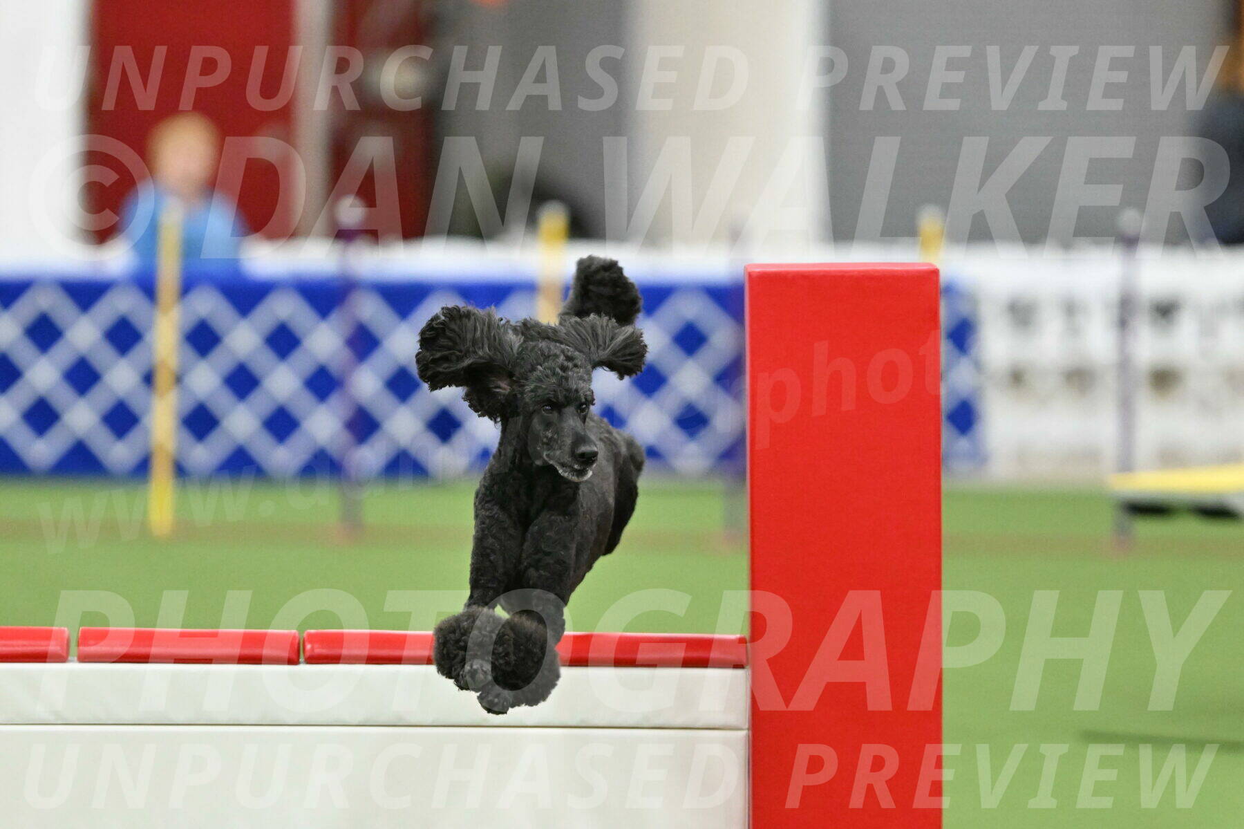 MAS-EX-STD-24-Inch_8022