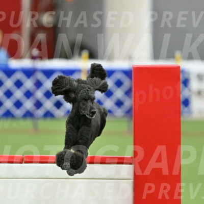 MAS-EX-STD-24-Inch_8022