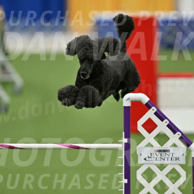 MAS-EX-STD-24-Inch_8023