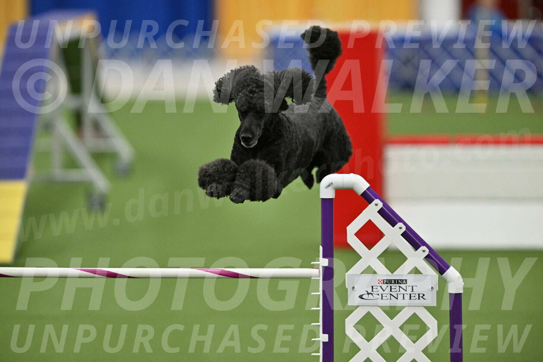 MAS-EX-STD-24-Inch_8023