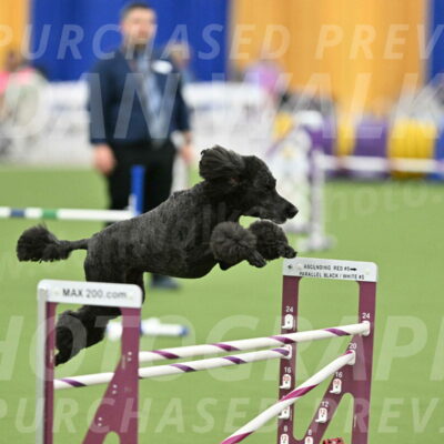 MAS-EX-STD-24-Inch_8027