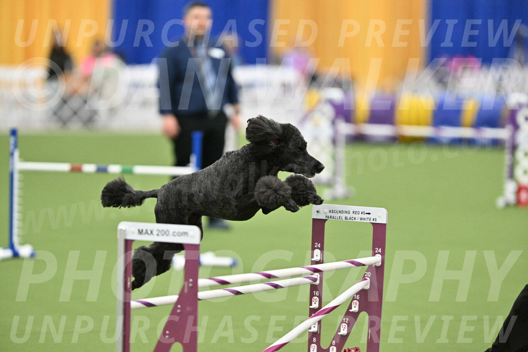 MAS-EX-STD-24-Inch_8027