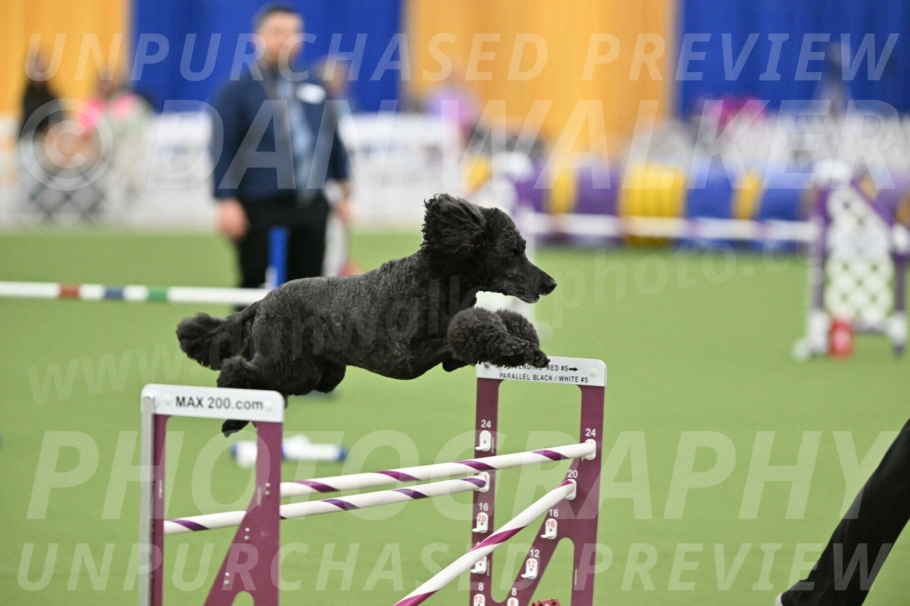 MAS-EX-STD-24-Inch_8028