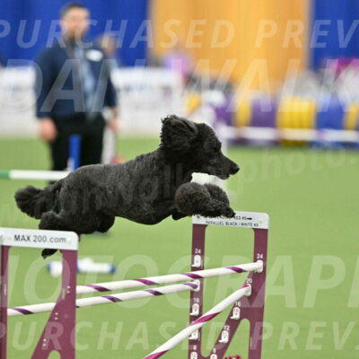 MAS-EX-STD-24-Inch_8028