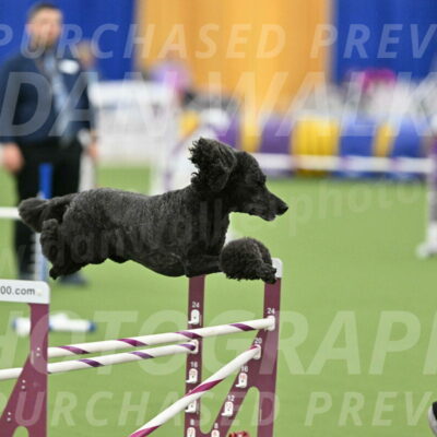 MAS-EX-STD-24-Inch_8029