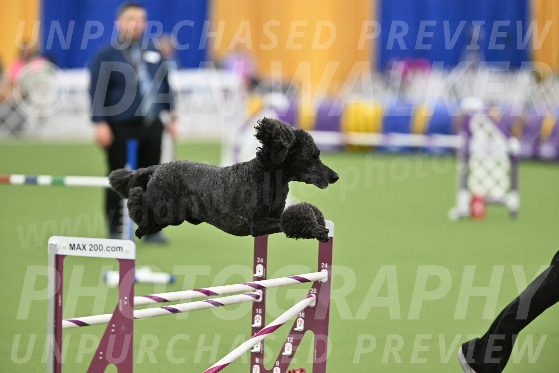 MAS-EX-STD-24-Inch_8029