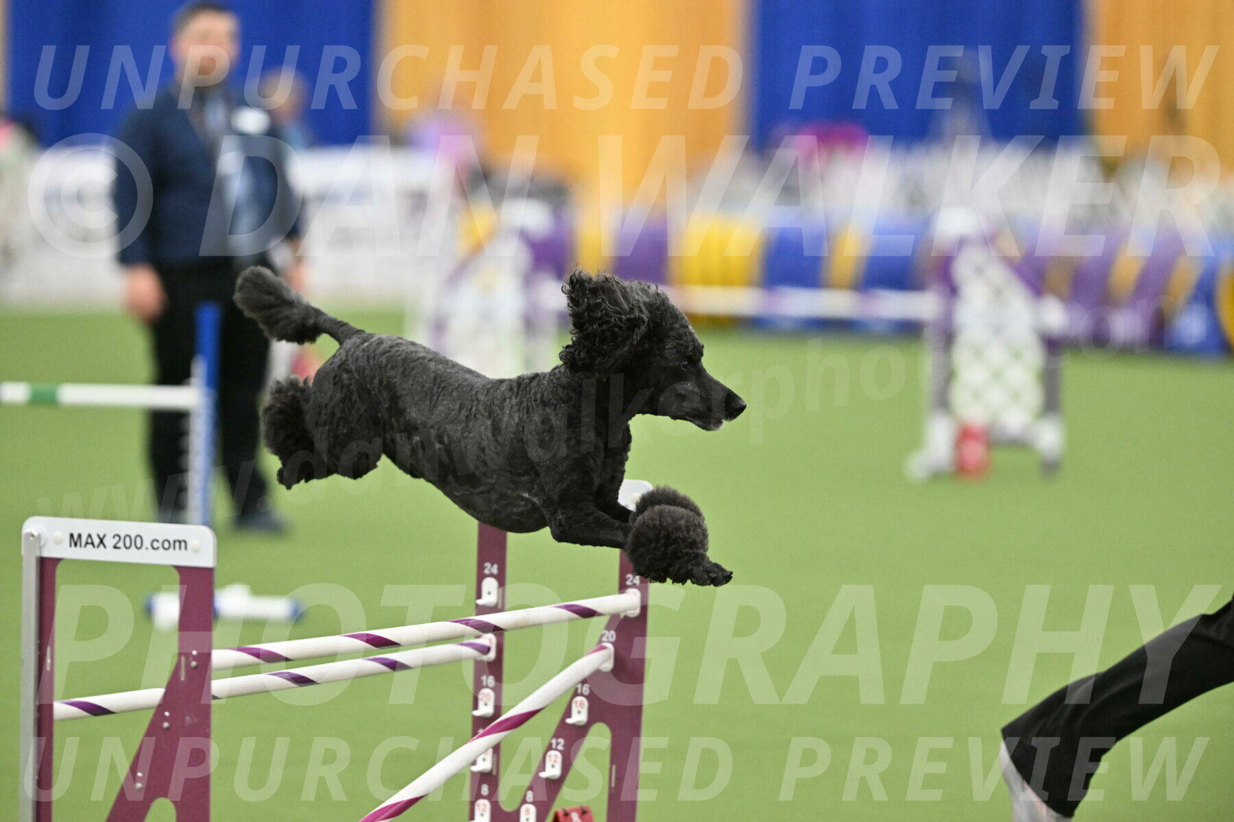 MAS-EX-STD-24-Inch_8030