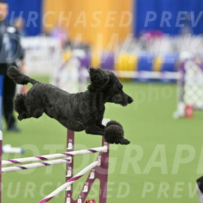 MAS-EX-STD-24-Inch_8030