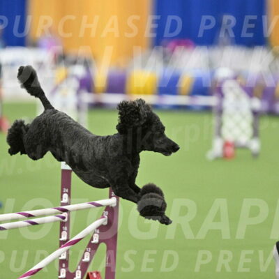 MAS-EX-STD-24-Inch_8031