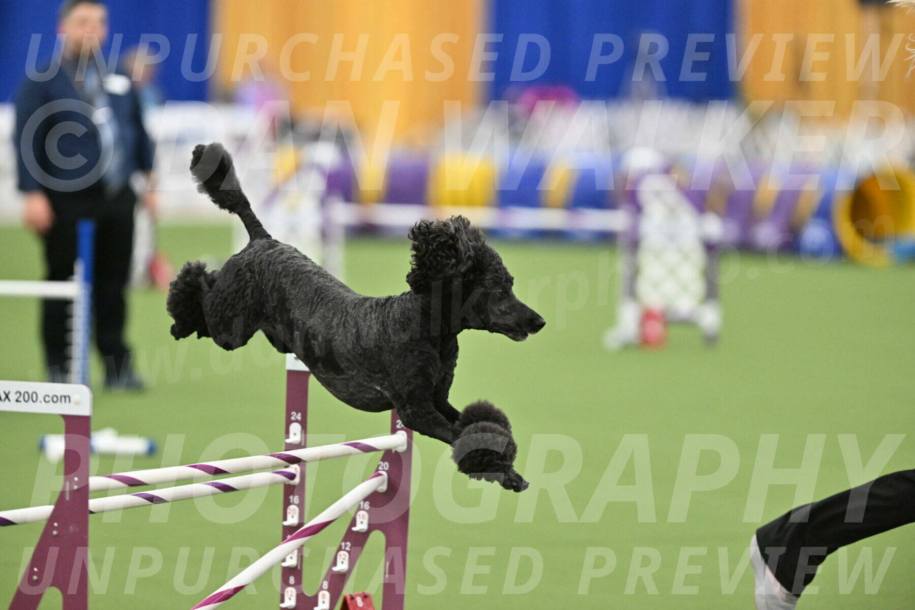 MAS-EX-STD-24-Inch_8031