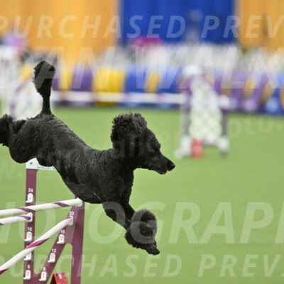 MAS-EX-STD-24-Inch_8032