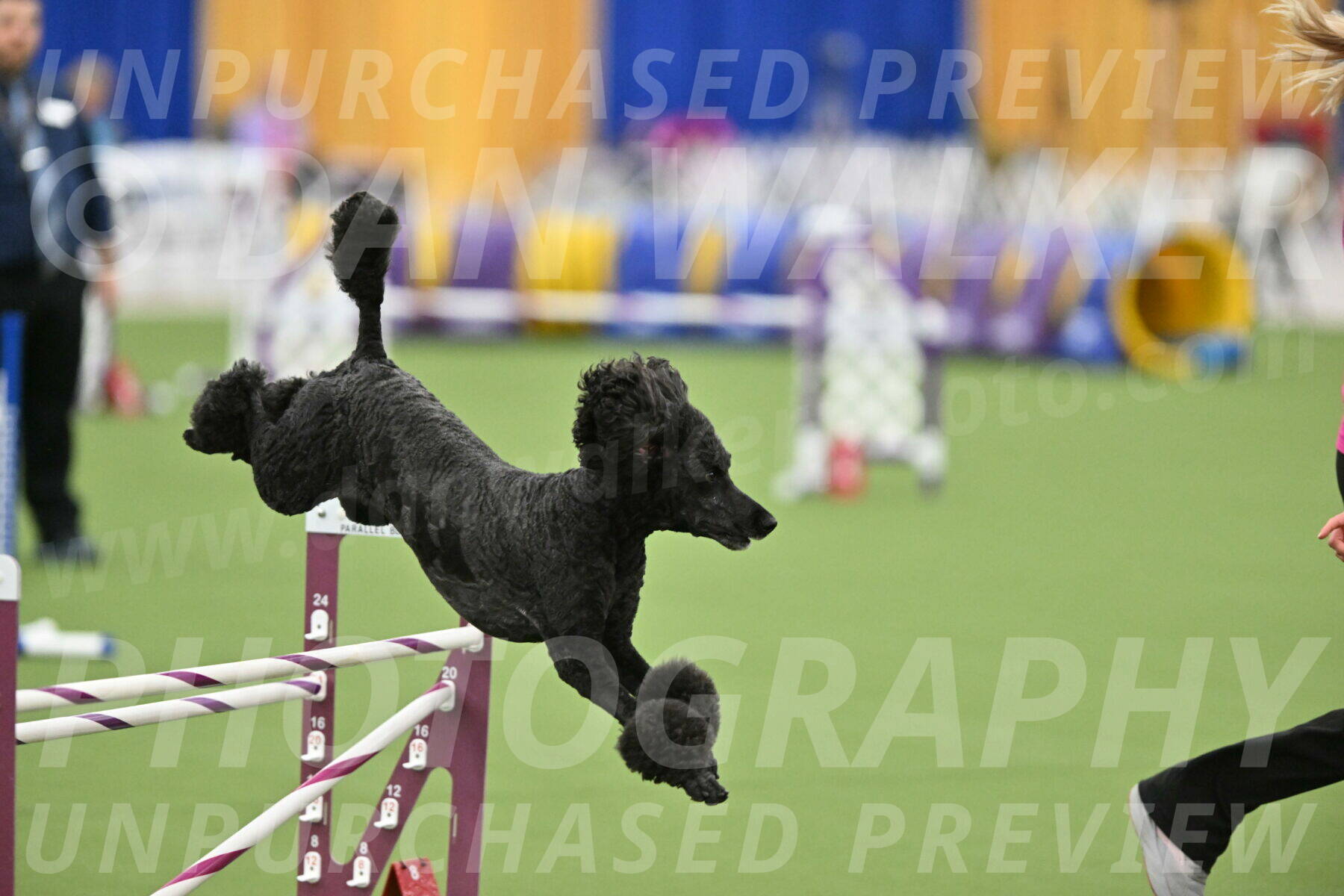 MAS-EX-STD-24-Inch_8032