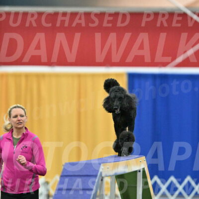 MAS-EX-STD-24-Inch_8034