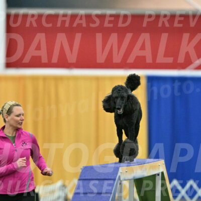 MAS-EX-STD-24-Inch_8037