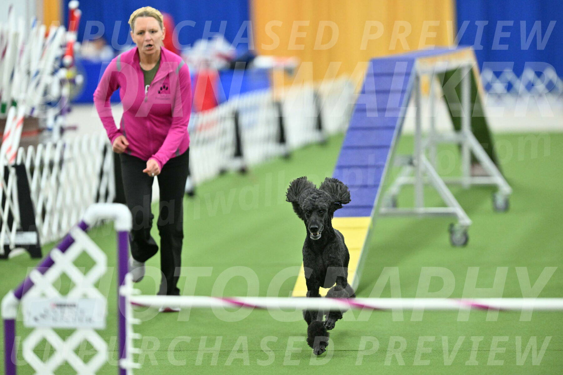 MAS-EX-STD-24-Inch_8049